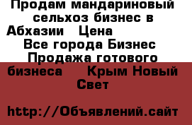 Продам мандариновый сельхоз-бизнес в Абхазии › Цена ­ 1 000 000 - Все города Бизнес » Продажа готового бизнеса   . Крым,Новый Свет